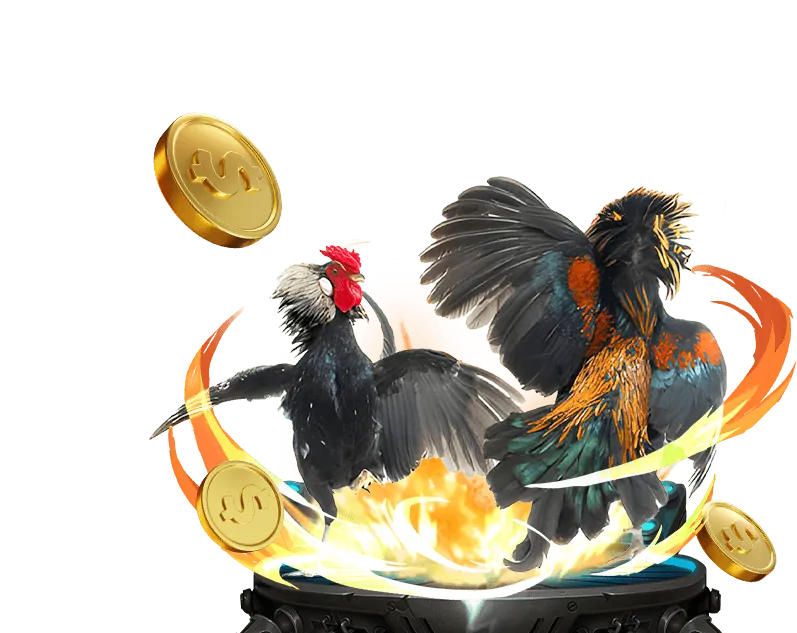 Người đang xem đá gà trực tiếp trên điện thoại