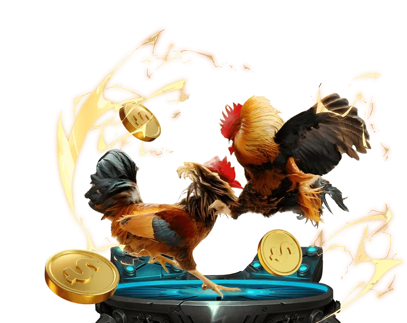 Sân đấu đá gà Thomo trực tiếp